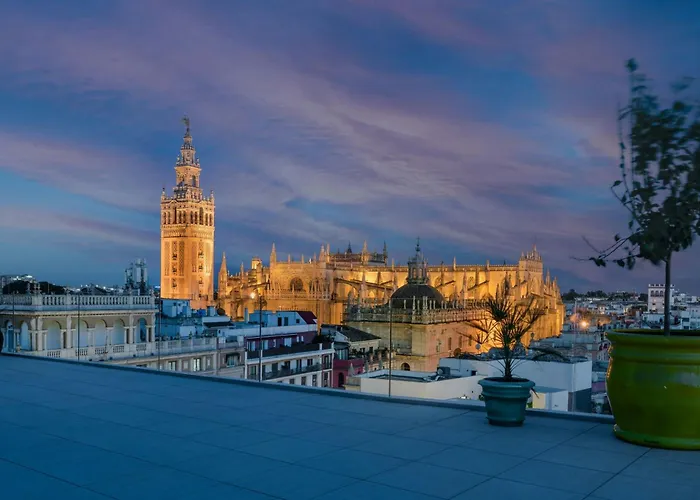 Querencia De Sevilla, Autograph Collection